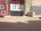 استجابة من رئيس مدينة منوف بشأن شكوى انتشار قمامة بمدخل مدرسة