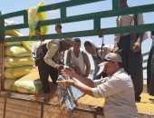 زراعة أسيوط: توريد 116 ألف طن قمح محلى لشون وصوامع