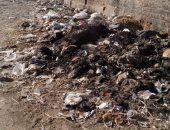اضبط مخالفة.. أهل قرية شبرابابل بالمحلة: تراكم القمامة يصيبنا بالأمراض (صور)