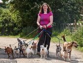 "وقعت فى حبهم"..  حكاية بريطانية تربى 22 كلبا فى منزلها 