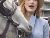 فيديو وصور.. جيسيكا شاستين تشعر بالرعب بسبب "حصان".. اعرف القصة