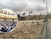 كلاكيت عاشر مرة.. تقارير كاذبة وإدعاءات هيومن رايتس ووتش بشأن الأوضاع فى سيناء.. المنظمة تزعم وجود انتهاكات.. وأعضاء البرلمان يؤكدون: بيان "فج" وتمثل غطاءً سياسيًا للكيانات الإرهابية.. ولابد من وقفة معها