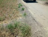 صور.. أهالى قرية عزبة عفيفى يطالبون محافظ الشرقية برصف طرق داخلى