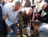 زراعة 4 آلاف شجرة مثمرة بكفر الشيخ تنفيذاً لمبادرة الرئيس