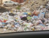 قارئ يشكو من انتشار القمامة والأوبئة بمنطقه أرض الجمعيات بالإسماعيلية