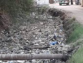 قمامة وحيوانات نافقة تملأ ترعة النجيلة بالبحيرة ومطالب بإزالتها