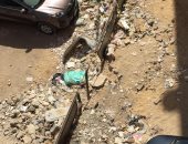  تراكم القمامة بشارع محمد كريم بالاسكندرية يتسبب فى انتشار الامراض