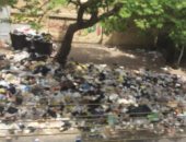 شكوى من انتشار القمامة بشارع الدويدار بمنطقة السلام