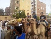 صور..  أطفال الوادى الجديد يحتفلون بعيد الفطر بركوب الجمال والخيل