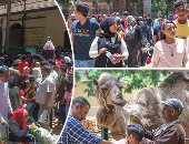 حدائق القاهرة والجيزة كاملة العدد فى ثانى أيام عيد الفطر.. إقبال من المواطنين على الاحتفال بالعيد وسط تكثيف أمنى.. الأوتوبيس النهرى يسير رحلاته للقناطر وطوابير على مرسى ماسبيرو.. وعروض ترفيهية بالحديقة الدولية