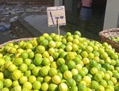 4 أسباب رئيسية لجنون أسعار الليمون.. تعرف عليها