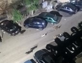 انتشار الكلاب الضالة بشارع على الجندى بمدينة نصر