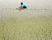 الهند تعانى من درجات حرارة شديدة وضربة الشمس تقتل القرود