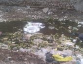 شكوى من انتشار القمامة بشارع صابر باشا صبرى بالهرم وغرقه بمياه الصرف الصحى