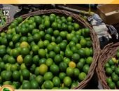 شعبة الخضروات: انفراجة كبيرة فى أسعار الليمون خلال أيام قليلة.. فيديو