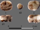 أدلة جديدة تكشف عن بشر مجهولين عاشوا فى سيبيريا من 31 ألف سنة