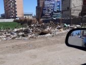 شكوى من انتشار القمامة بقرية كفر شبراهور بالدقهلية