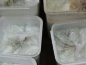 فيديو.. حملات تموينية مكبرة لمراقبة الأسواق وضبط السلع الفاسدة