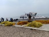 إزالة التعديات على بحيرة البرلس ونهر النيل فى حملة مكبرة بكفر الشيخ