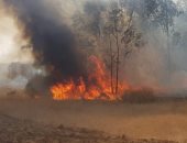 الدفاع المدنى بالوادى الجديد يسيطر على حريق بمزرعة فى قرية بدخلو دون إصابات