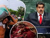 شاهد.. كيف يواجه الشعب الفنزويلى الأزمة الاقتصادية العميقة بإعادة التدوير لتغطية نفقاته.. ثمن مصباح كهربائى يعادل راتب شهر.. واللعب من الزجاجات البلاستيكية.. عالمة نفس اجتماعية: نتائج محاولاتهم للبقاء إيجابية