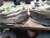 صور.. ضبط 30 عربة كارو وتروسيكل لنبش القمامة بشبرا الخيمة 