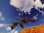 علماء بريطانيون يكتشفون نوعًا من الديناصورات قادرة على الطيران منذ الولادة