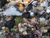 قارئة تشكو من انتشار القمامة بمنطقة كوفرتينا بعين شمس