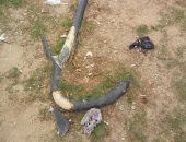 قارىء يرصد كابل كهرباء مكشوف بشارع الظاهر بيبرس فى مدينة العبور