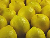 الليمون بـ 40 جنيها.. و"الزراعيين": انخفاض قريب بالأسعار وكورونا سبب الارتفاع