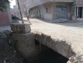 شكوى من عدم وجود أعمدة إنارة بعزبة الشوادفى بالشرقية