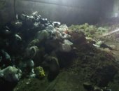 أهالى مساكن دائرى بولاق الدكرور يشكون من تراكم القمامة