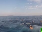 شاهد.. لحظة إنقاذ مهاجرين غير شرعيين قبالة السواحل التركية