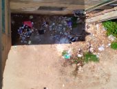 قارئ يشكو من انتشار القمامة بدمياط ويطالب بصناديق قمامة فى الشوارع