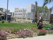 صور.. شاهد محافظة البحر الأحمر تجمل طريق عبد المنعم رياض بالنباتات الصيفية 