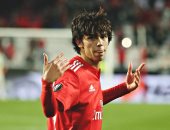 أتلتيكو مدريد يحسم صفقة فيليكس موهبة بنفيكا مقابل 120 مليون يورو