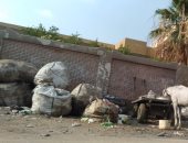 صور.. اضبط مخالفة.. القمامة تحاصر مدارس شبرا الخيمة