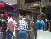 صور..  حملات إزالة اشغالات وحملات نظافة بكفر الشيخ