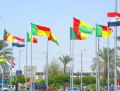 صور.. الإسماعيلية تتزين بأعلام الدول المشاركة فى بطولة أمم أفريقيا