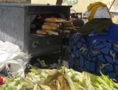 صور.. بائعة بورسعيد مصابة بشلل وتناشد التضامن للحصول على معاش