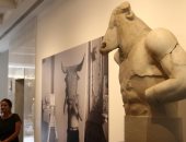 معرض بمتحف فنون أثينا يشكف: بيكاسو استلهم أعماله من الفن اليونانى القديم