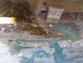 غرق شارع حشاد فى عزبة النخل بمياه الصرف الصحى