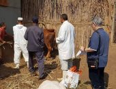 بيطرى المنوفية يطلق الحملة القومية للحمي القلاعية والوادي المتصدع