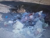 أهالى مجاروة 13 بالحى الثالث فى دمياط الجديدة يشكون من انتشار القمامة