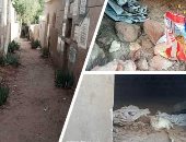 المقابر الباب الخلفى للسحر والشعوذة بأسيوط.. العثور على أعمال سفلية وأسحار سوداء فى حملات تنظيف.. تربى بالمقابر: نكتشف "الأعمال" بجوار رفات الموتى ونحرقها فورا لإيقاف الأذى.. فيديو وصور