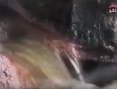 شاهد.."مباشر قطر": تنظيم الحمدين حول شواطئ البلاد إلى مستنقع صرف صحى