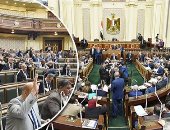 "خارجية النواب" تؤكد أهمية الوكالة المصرية للشراكة من أجل التنمية