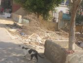 انتشار القمامة بحدائق القاهرة الجديدة بسبب عدم وجود عمال نظافة