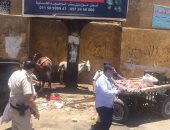 إزالة 180 حالة إشغال فى حملة مكبرة بشارع المطار بمدينة أسوان صور