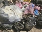 استمرار أزمة القمامة بقرية ليسا الجمالية فى الدقهلية